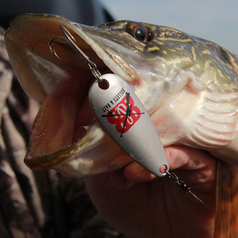 Custom Fishing Lures for an Unforgettable Fishing Experience